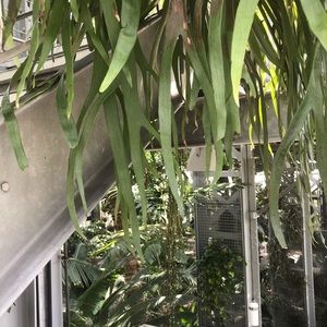 Meet your Posher, Daysha